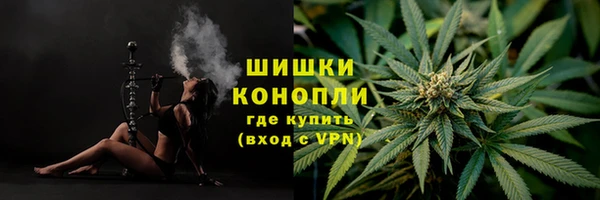 гидропоника Беломорск